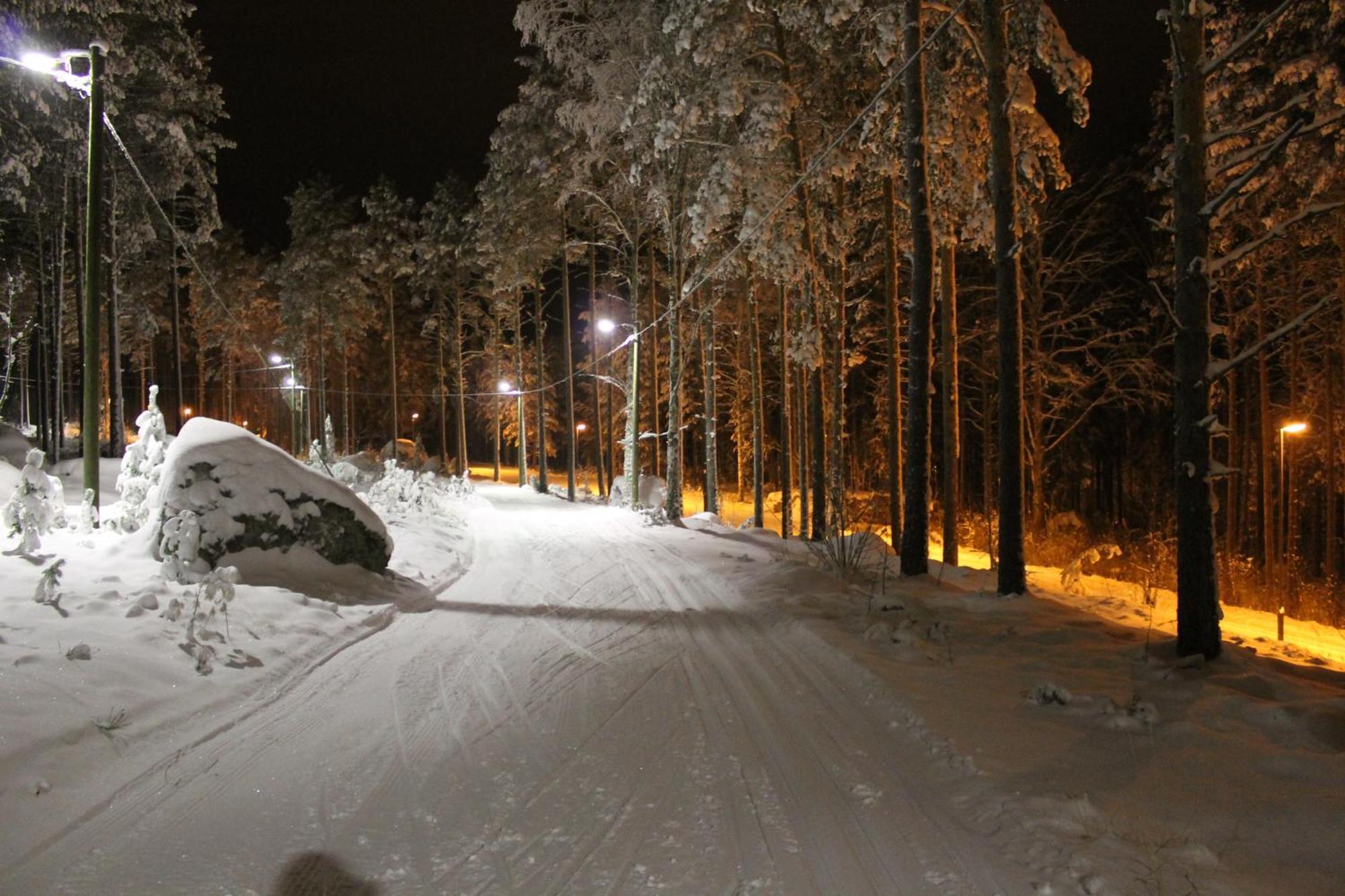 Kullasmarina Holiday Villas Padasjoki Exterior photo